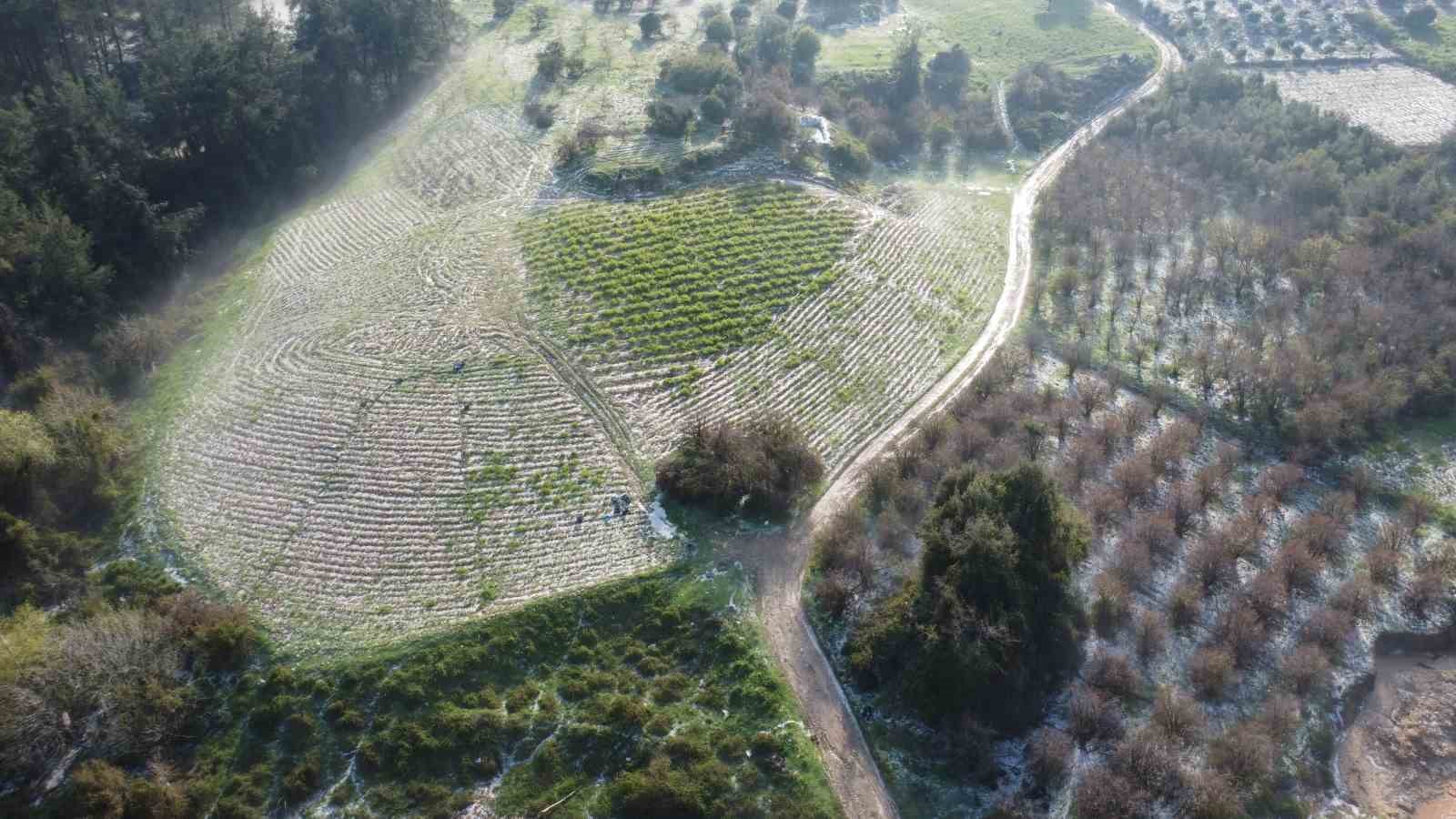 Mersin’de misket büyüklüğünde dolu etkili oldu: Orman ve bahçeler beyaza büründü
