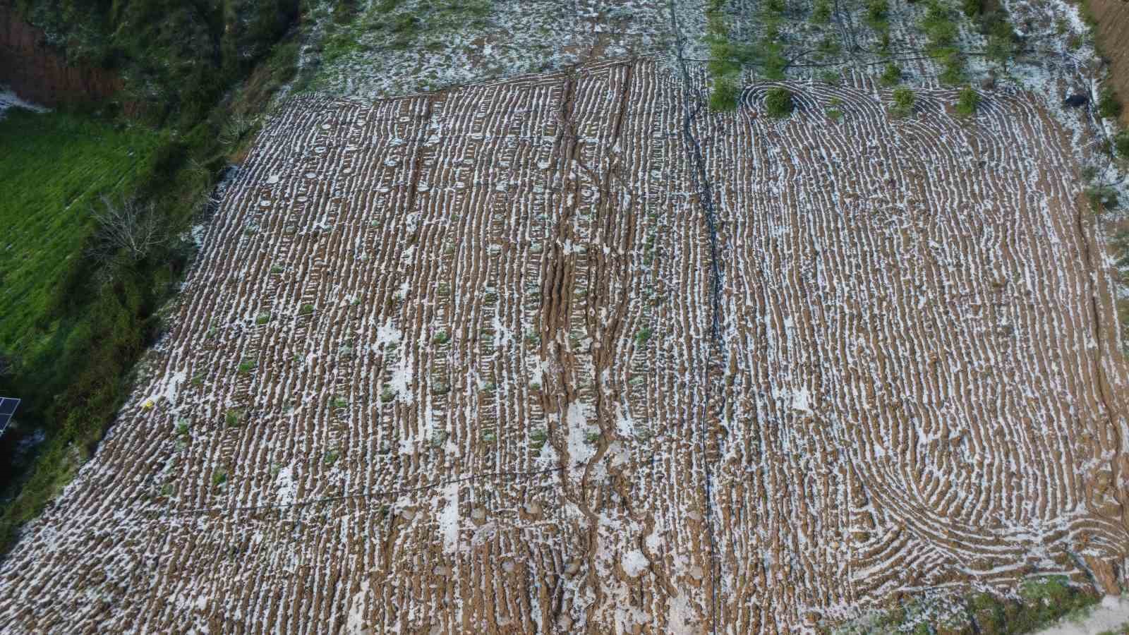 Mersin’de misket büyüklüğünde dolu etkili oldu: Orman ve bahçeler beyaza büründü
