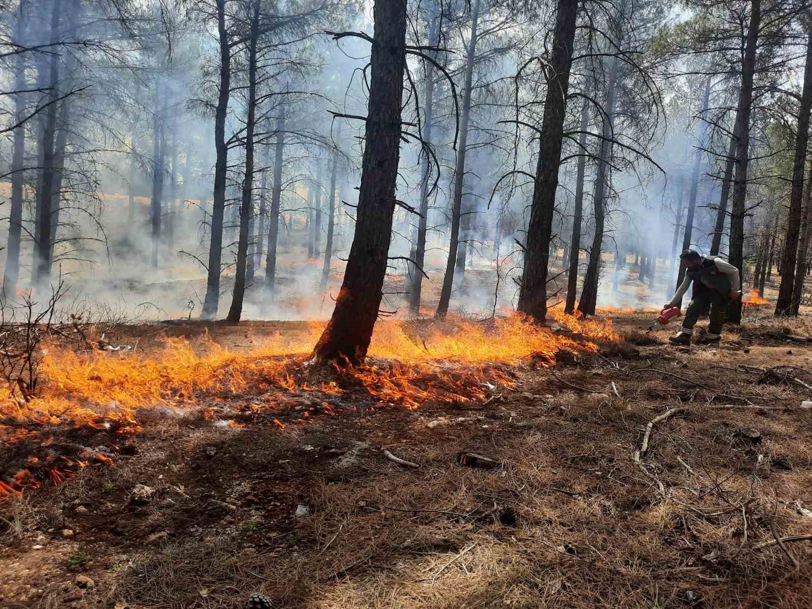 Mersin’de orman yangınlarına karşı tatbikat yapıldı
