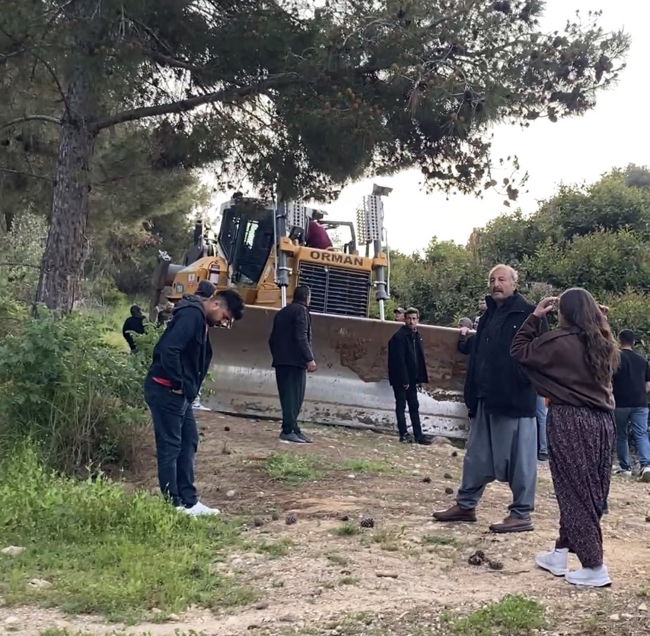 Mersin’de ormanlık alana ekili narenciye bahçelerinin kaldırılması kararına tepki

