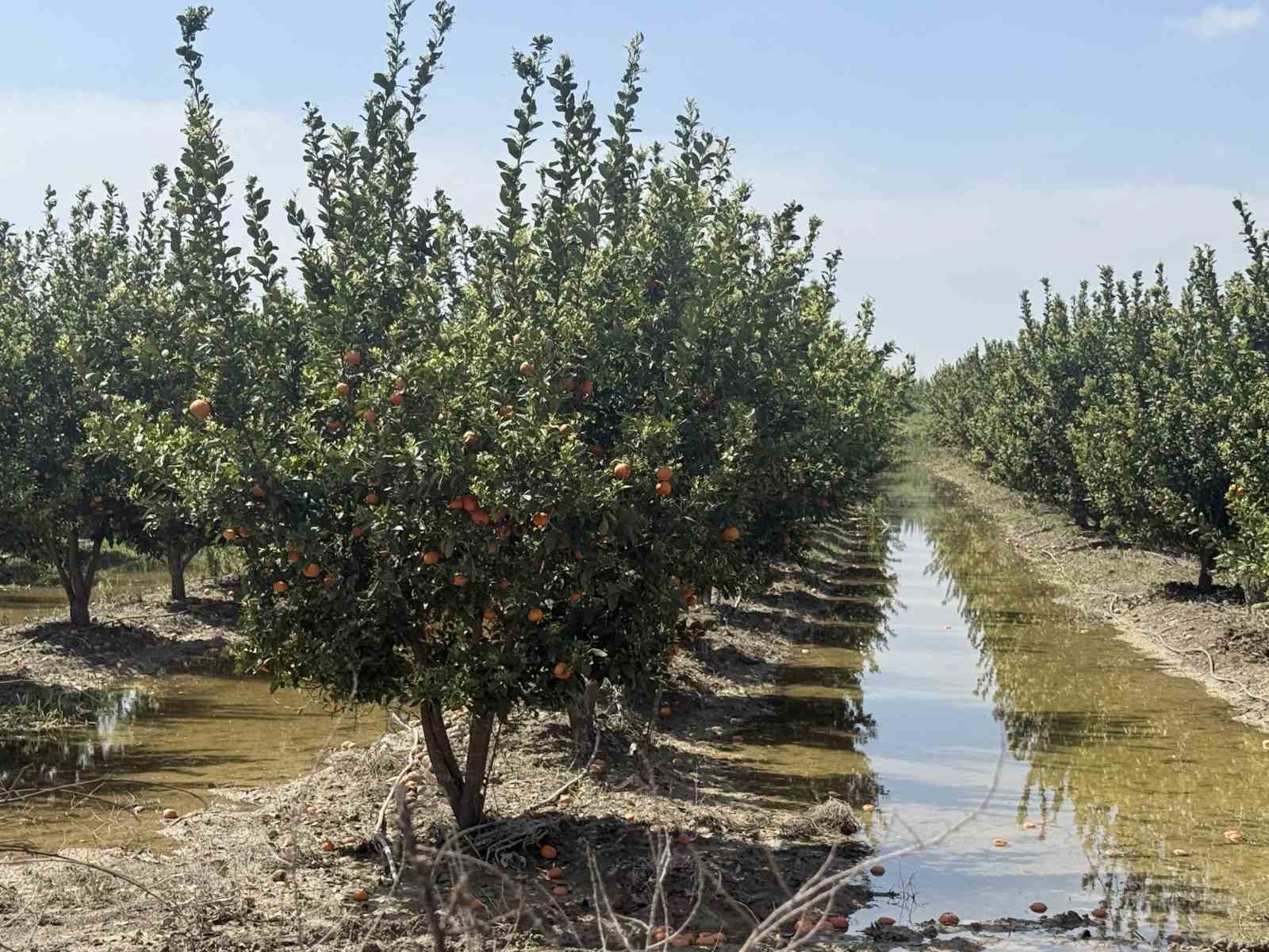 Mersin’de selin ardından bahçelerde sular yeni çekildi
