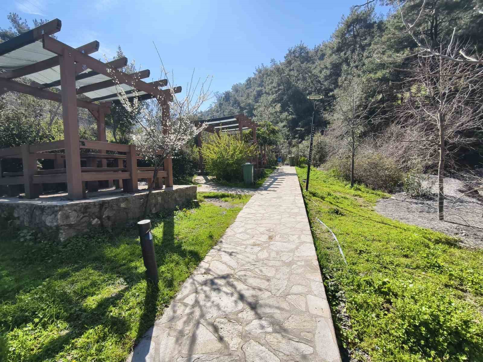 Mesir Tabiat Parkı’na ziyaretçi akını
