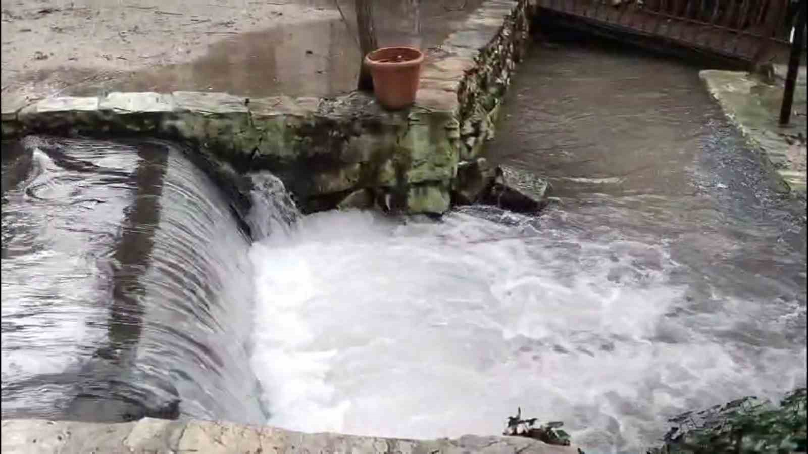 Mesire alanının kuruyan kaynağı tekrar canlandı
