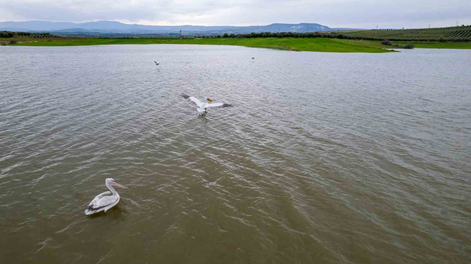 Mevsim normallerinin üzerindeki yağışlar balıkçılara umut oldu

