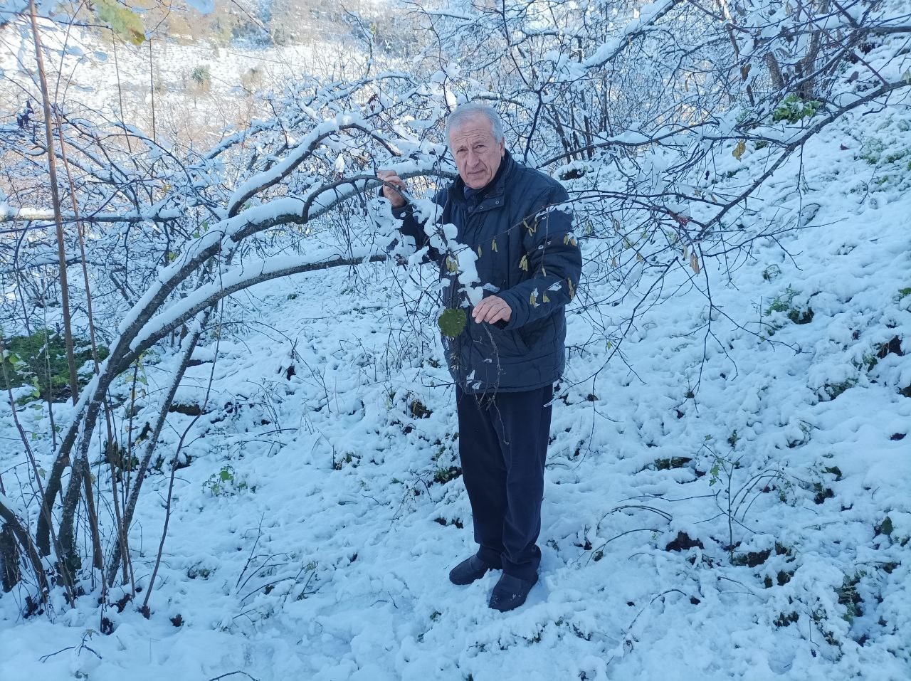 Mevsiminde yağan kar fındık üreticisini sevindirdi
Mevsiminde yağan kar fındık üreticisini sevindirdi