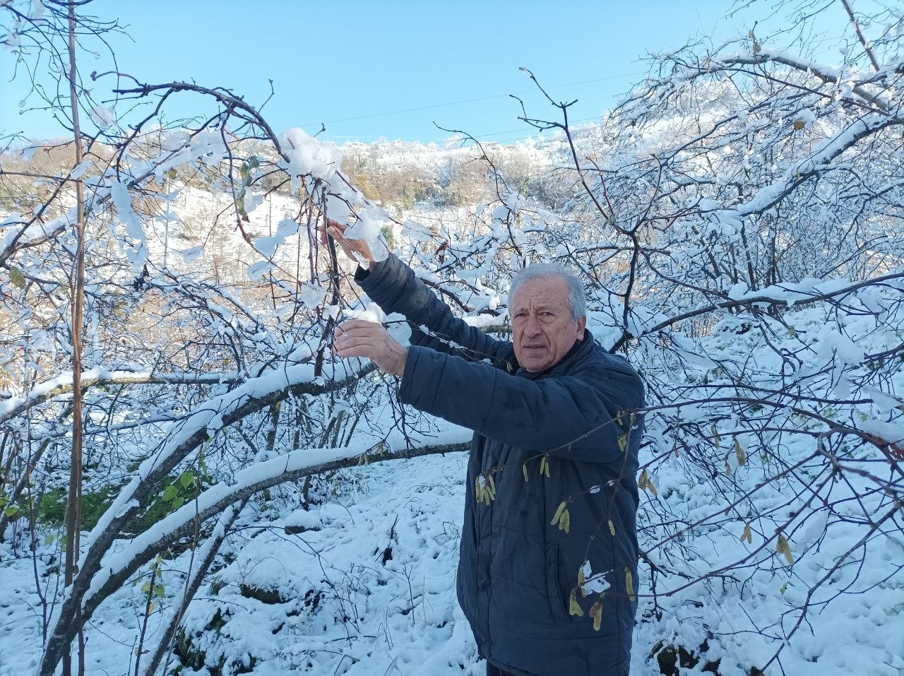 Mevsiminde yağan kar fındık üreticisini sevindirdi
Mevsiminde yağan kar fındık üreticisini sevindirdi