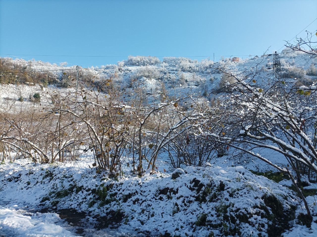 Mevsiminde yağan kar fındık üreticisini sevindirdi
Mevsiminde yağan kar fındık üreticisini sevindirdi