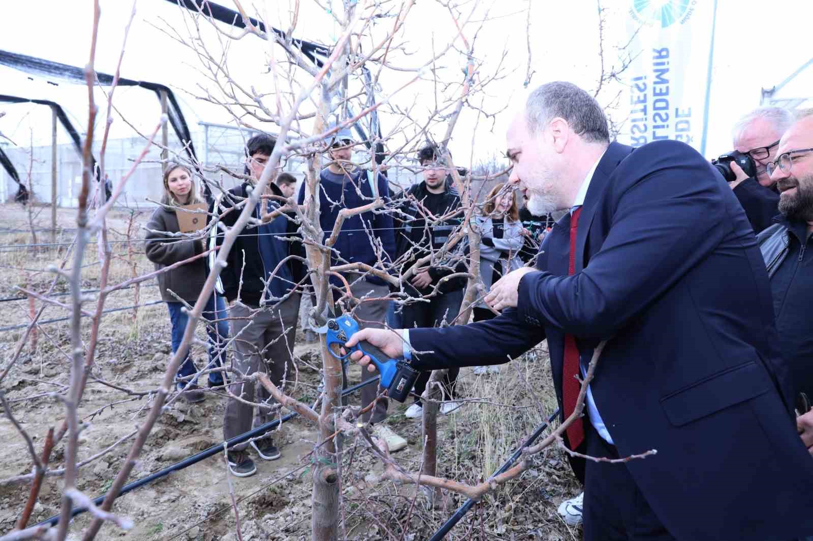 Meyve ağaçlarında doğru budama yöntemleri öğretildi

