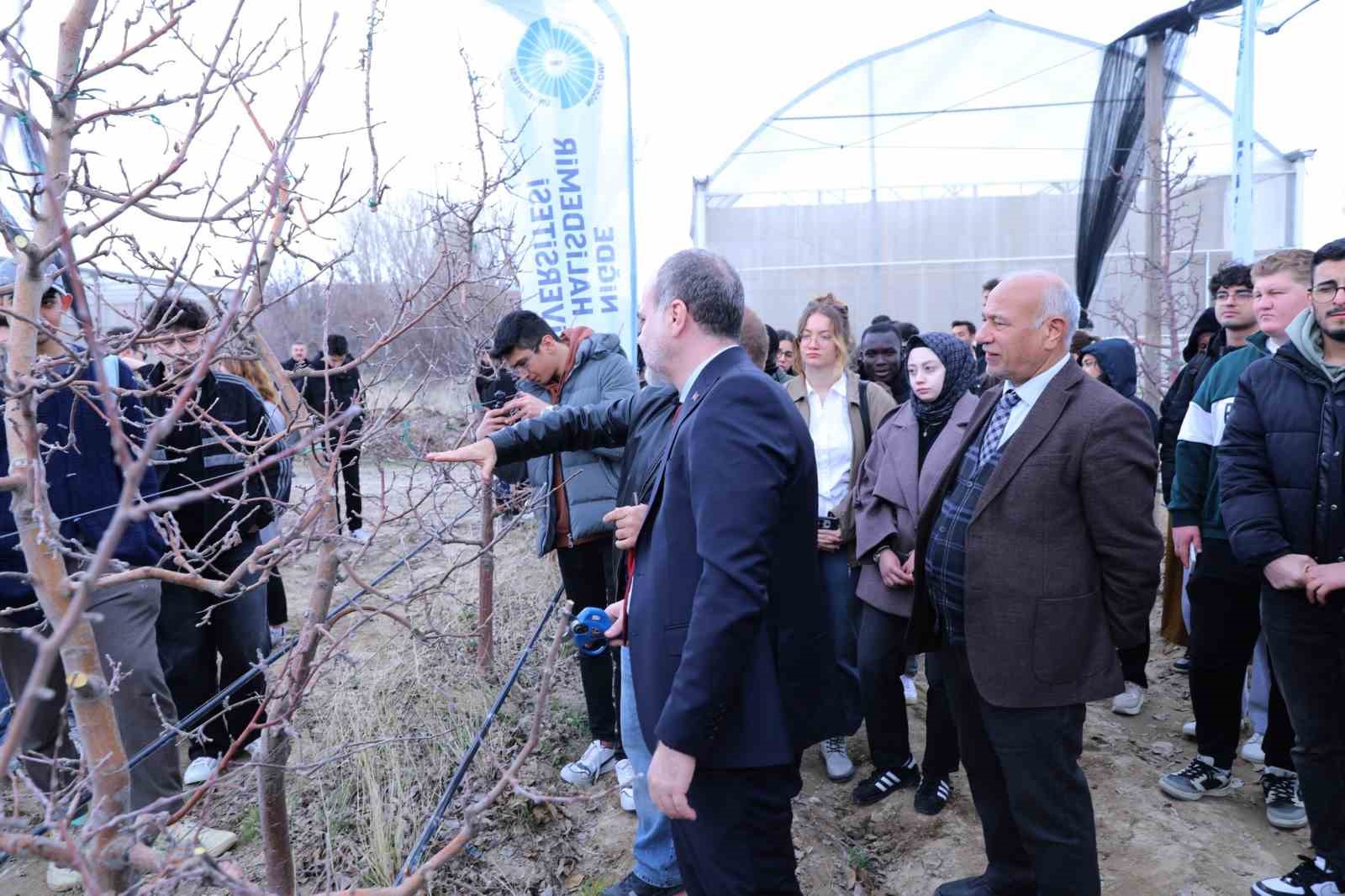Meyve ağaçlarında doğru budama yöntemleri öğretildi
