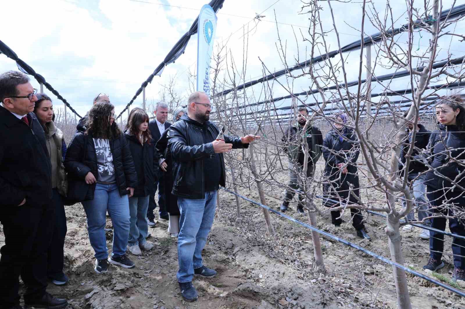 Meyve ağaçlarında doğru budama yöntemleri öğretildi
