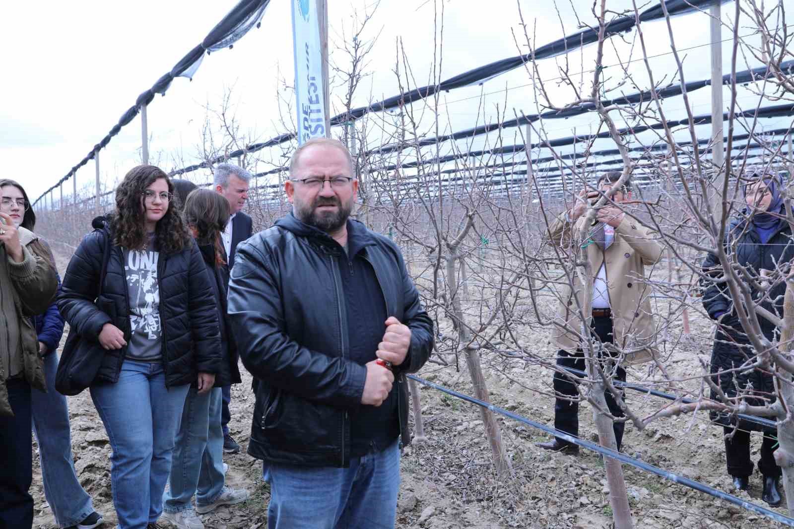 Meyve ağaçlarında doğru budama yöntemleri öğretildi
