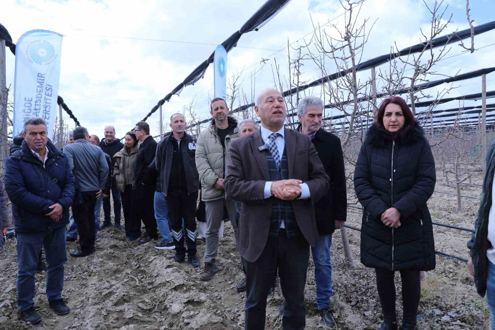 Meyve ağaçlarında doğru budama yöntemleri öğretildi
