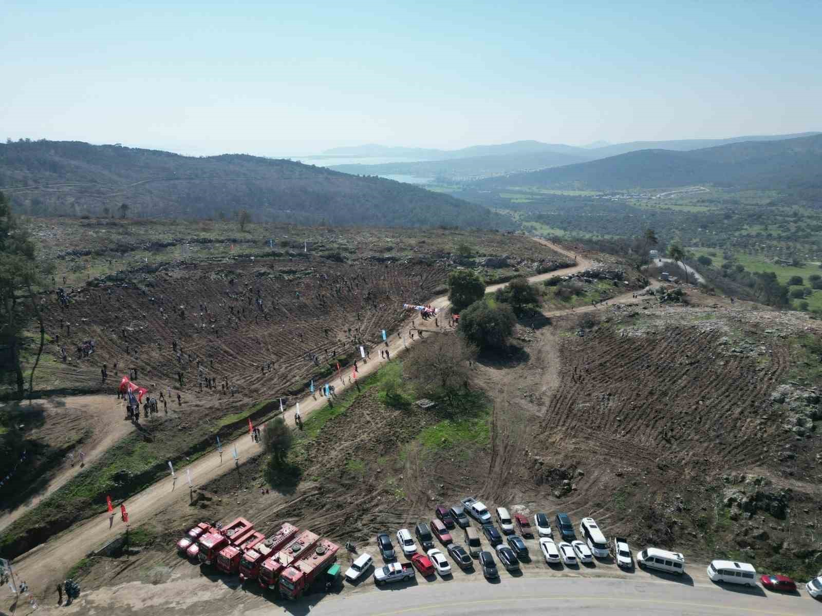 Milas’ta yanan sahalar fidanlarla canlanıyor
