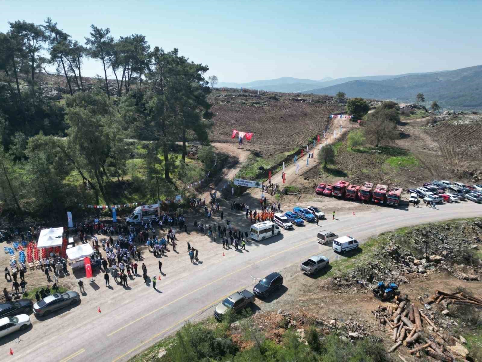 Milas’ta yanan sahalar fidanlarla canlanıyor
