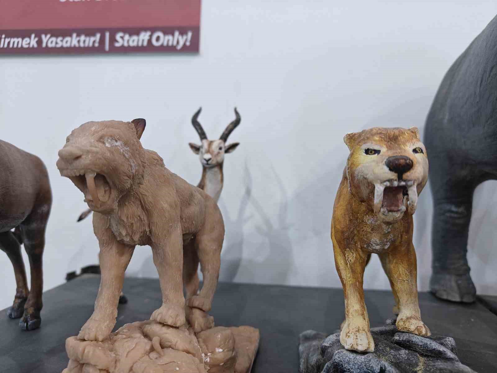 Milyon yıllık tarih minyatürleştiriliyor
