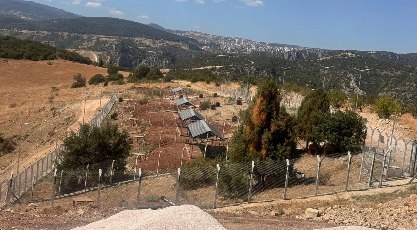 Milyonluk Sokak Hayvanları Doğal Yaşam Alanı ortada kaldı
Milyonluk Sokak Hayvanları Doğal Yaşam Alanı ortada kaldı