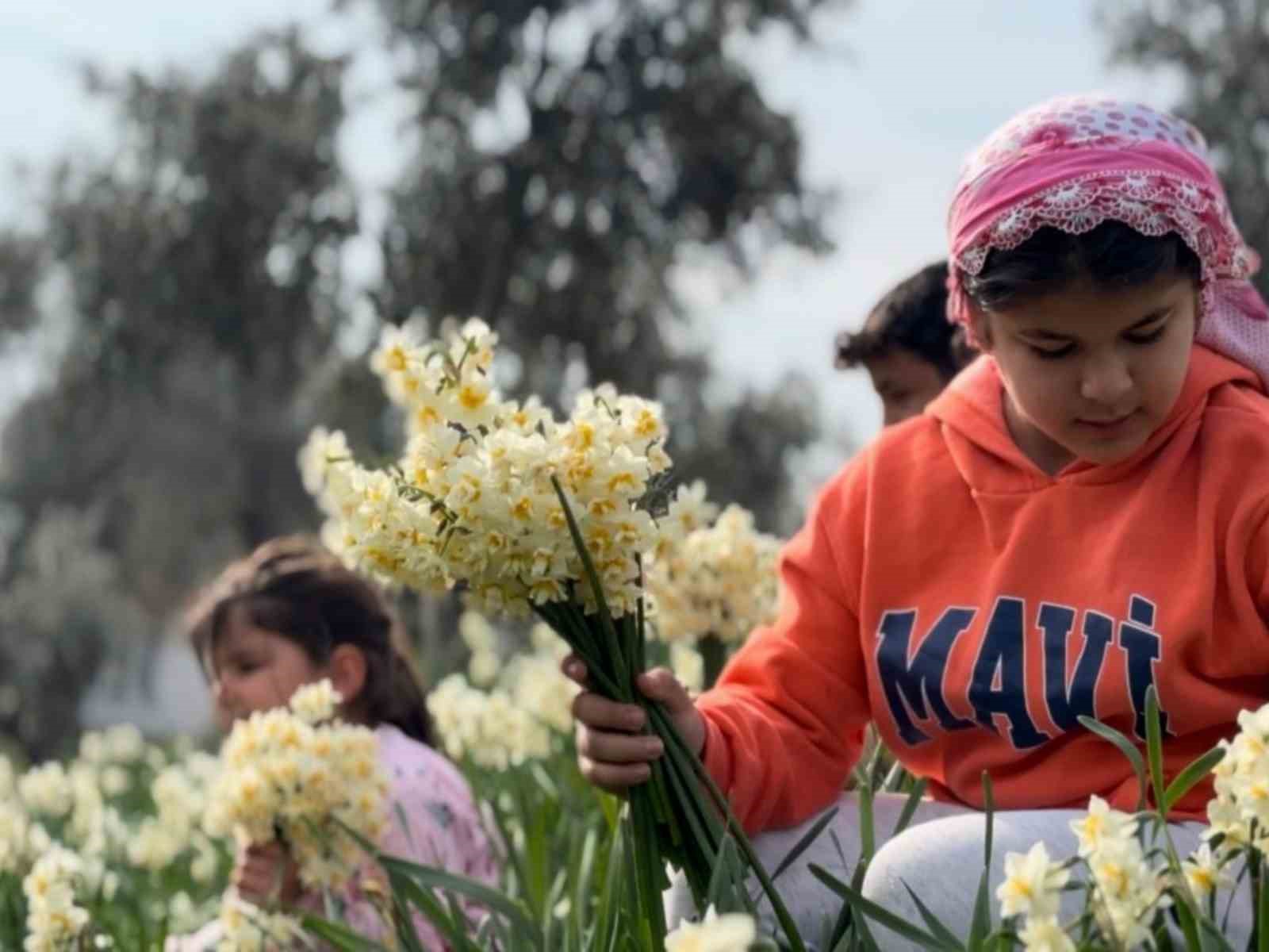 Mis kokulu nergis bilime de ilham kaynağı oluyor
Mis kokulu nergis bilime de ilham kaynağı oluyor