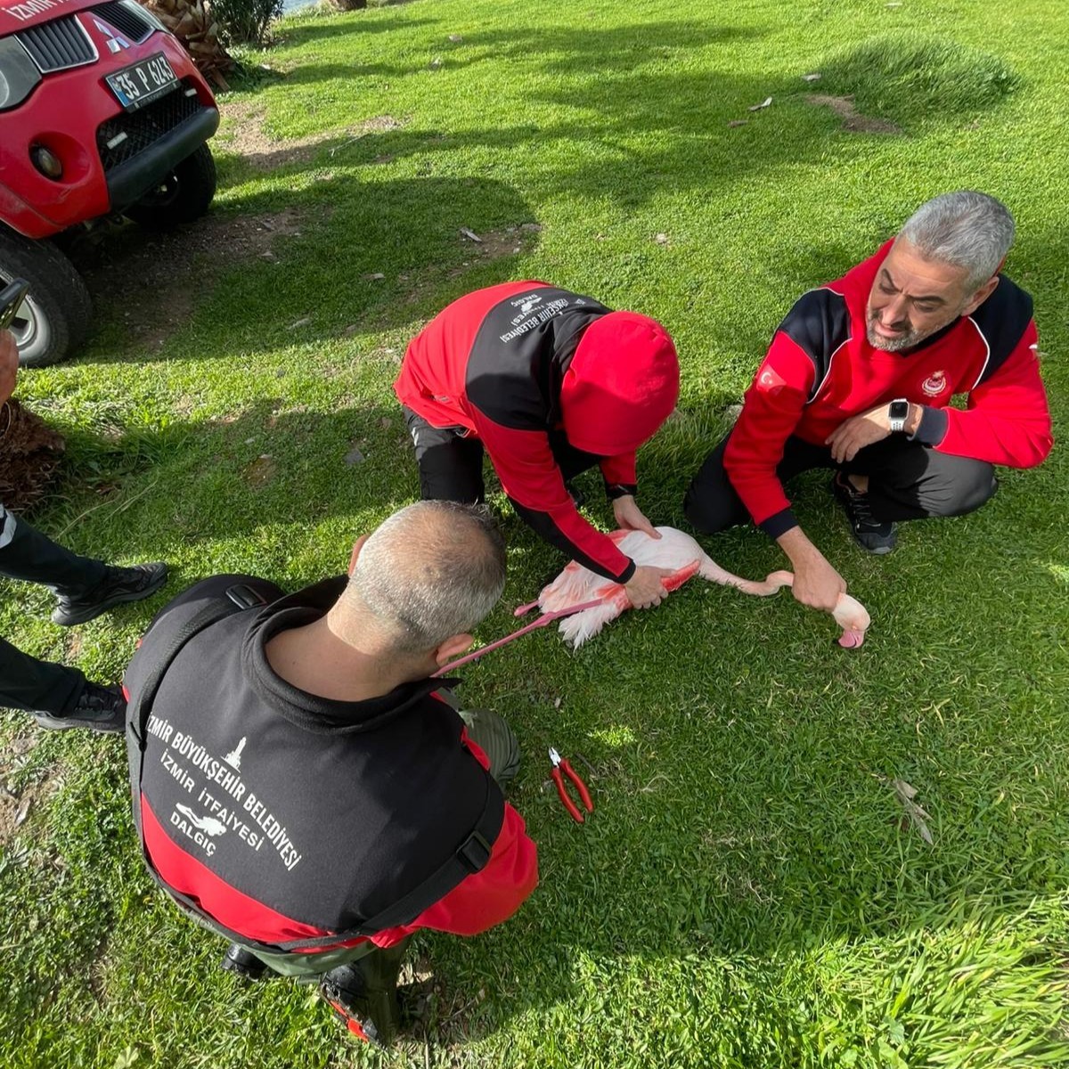 Misina tuzağından özgürlüğe
