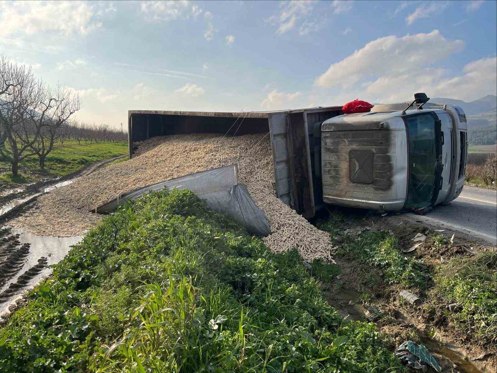 Mısır koçanı yüklü çekici devrildi: 1 yaralı
