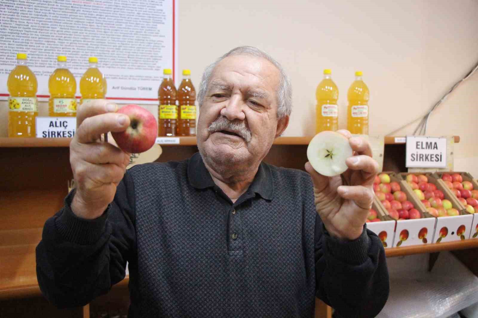 Misket elma yok satıyor: Taklitlerinden yıldız testiyle ayırt ediliyor
