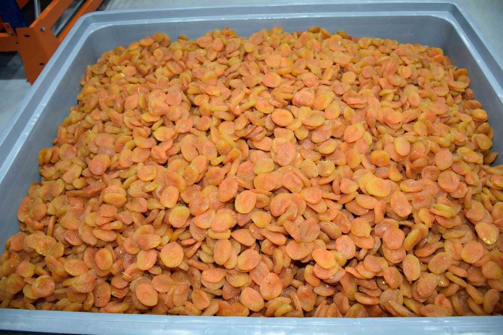 MTB Başkanı Özcan: "Zor şartlara rağmen 303 milyon dolarlık kayısı ihracatı gerçekleştirdik"
