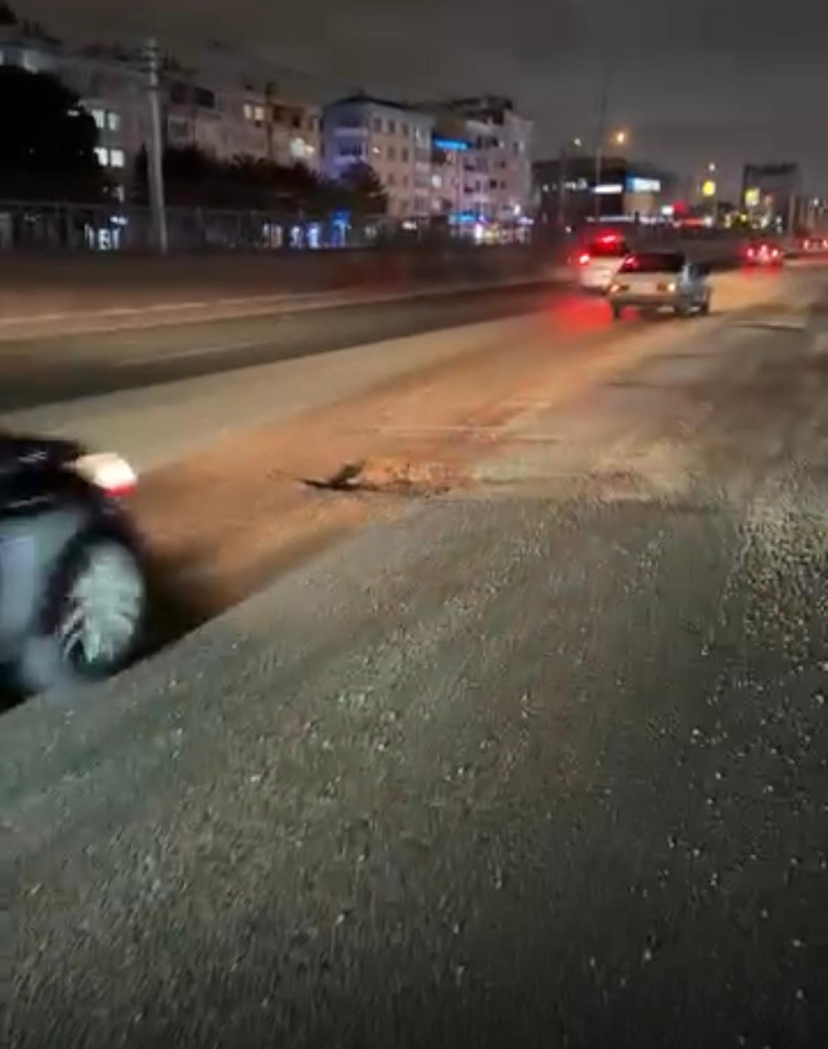 Mudanya Yolu sürücülere kabus yaşatıyor
