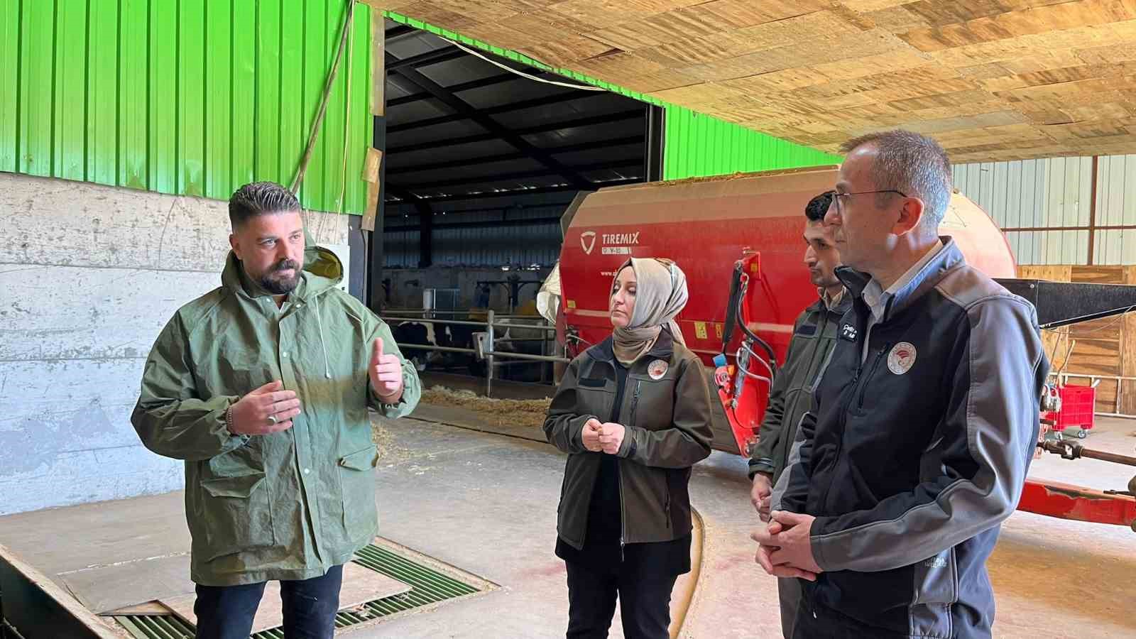 Müdür Ayvalık, üreticilerle tarım ve hayvancılığı inceledi
