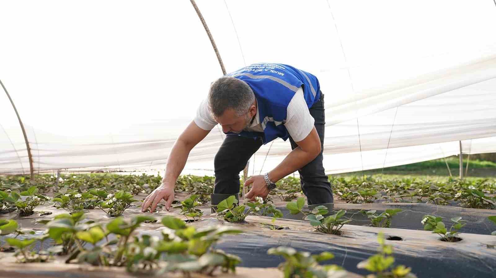 Muğla Büyükşehir’den Köyceğiz’de sel sonrası üreticiye destek
