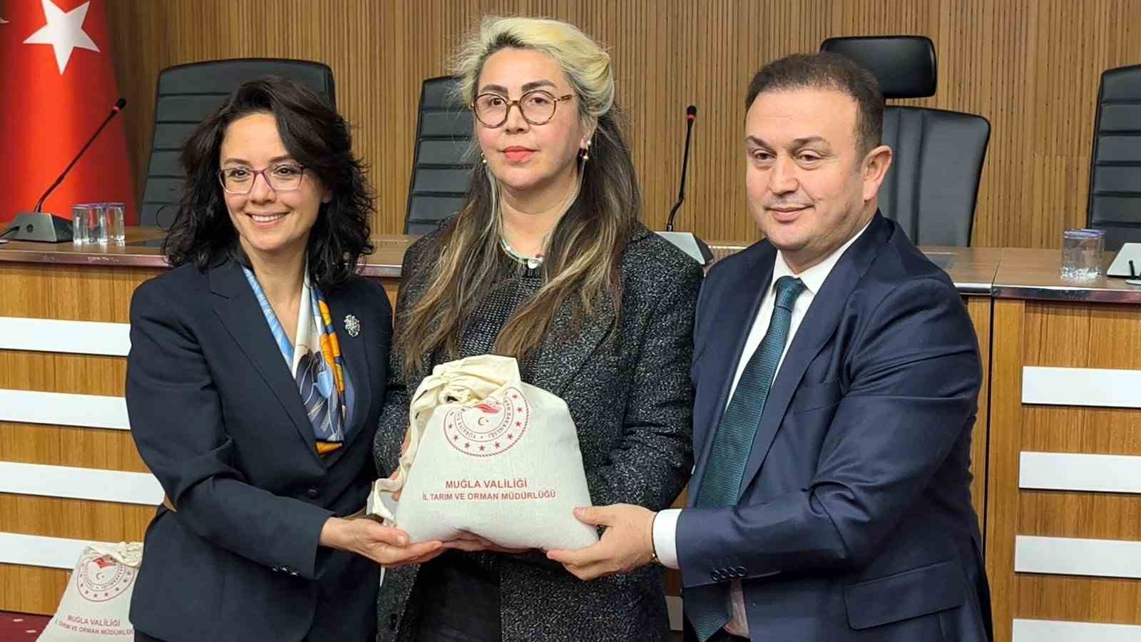 Muğla’da kadın çiftçilere karabuğday desteği 35 dönüm arazide üretim başlıyor
