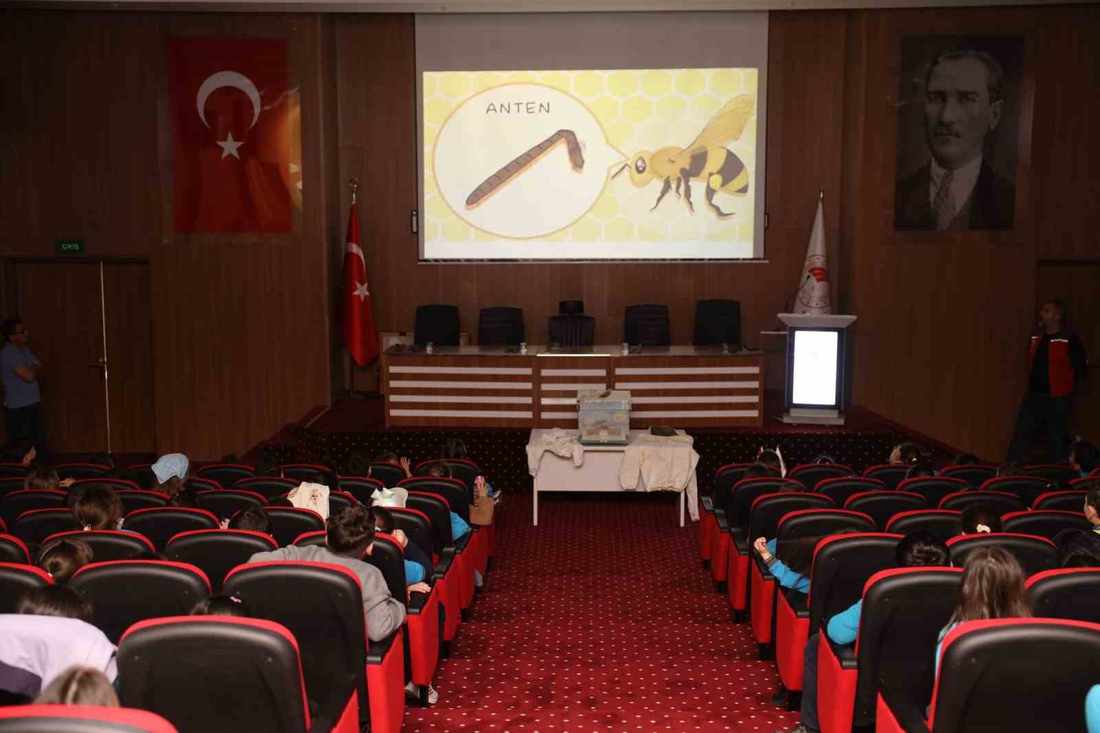 Muğla’da minik öğrenciler arıları ve sağlıklı beslenmeyi öğrendi

