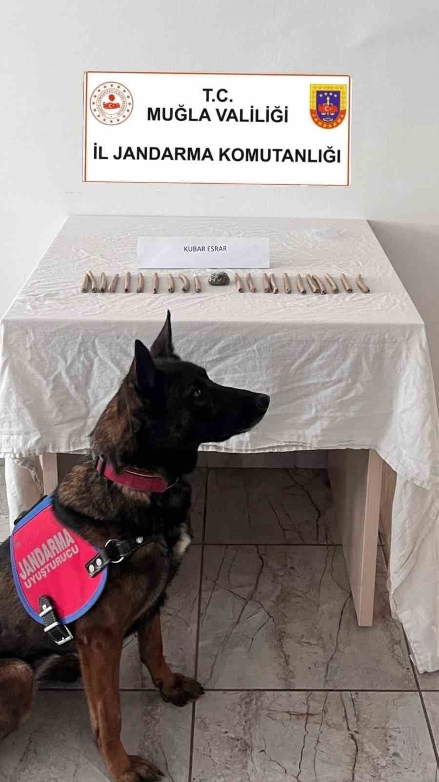 Muğla’da uyuşturucu operasyonu: 7 kişi tutuklandı
Muğla’da uyuşturucu operasyonu: 7 kişi tutuklandı