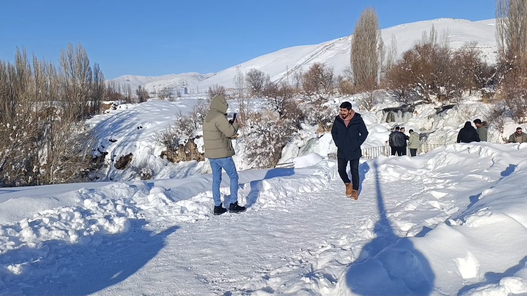 Muradiye Şelalesi buz tuttu
