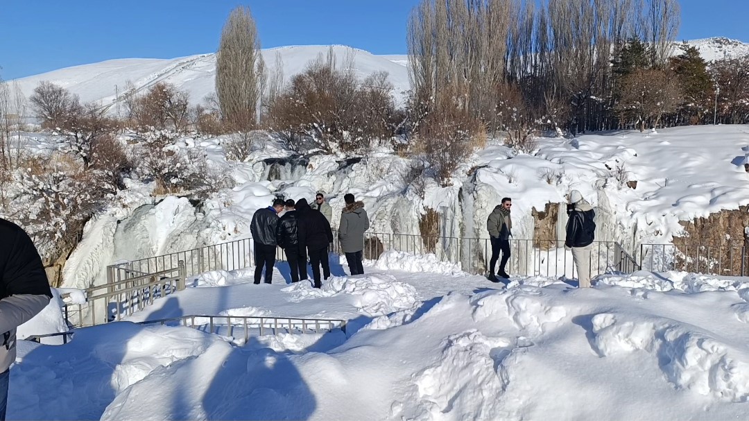 Muradiye Şelalesi buz tuttu
