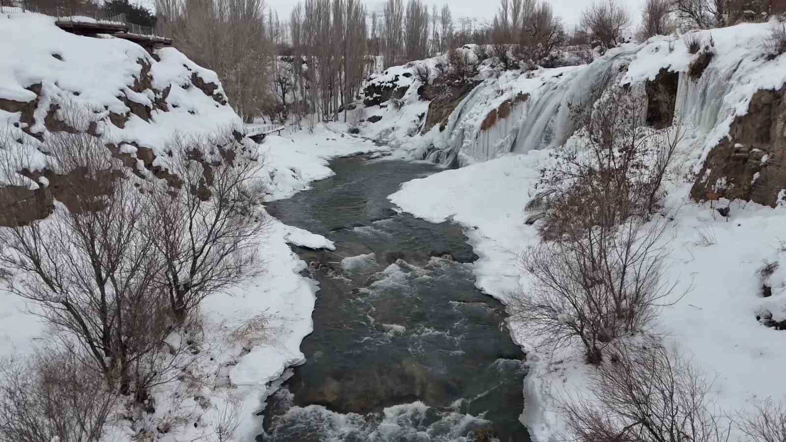 Muradiye Şelalesi eksi 12 derecede buz tuttu
