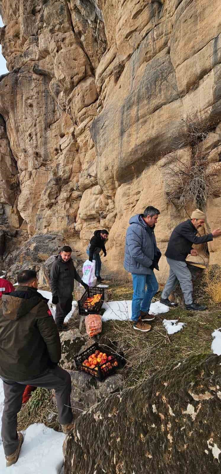 Muradiye’de yaban hayvanları için doğaya yem bırakıldı
