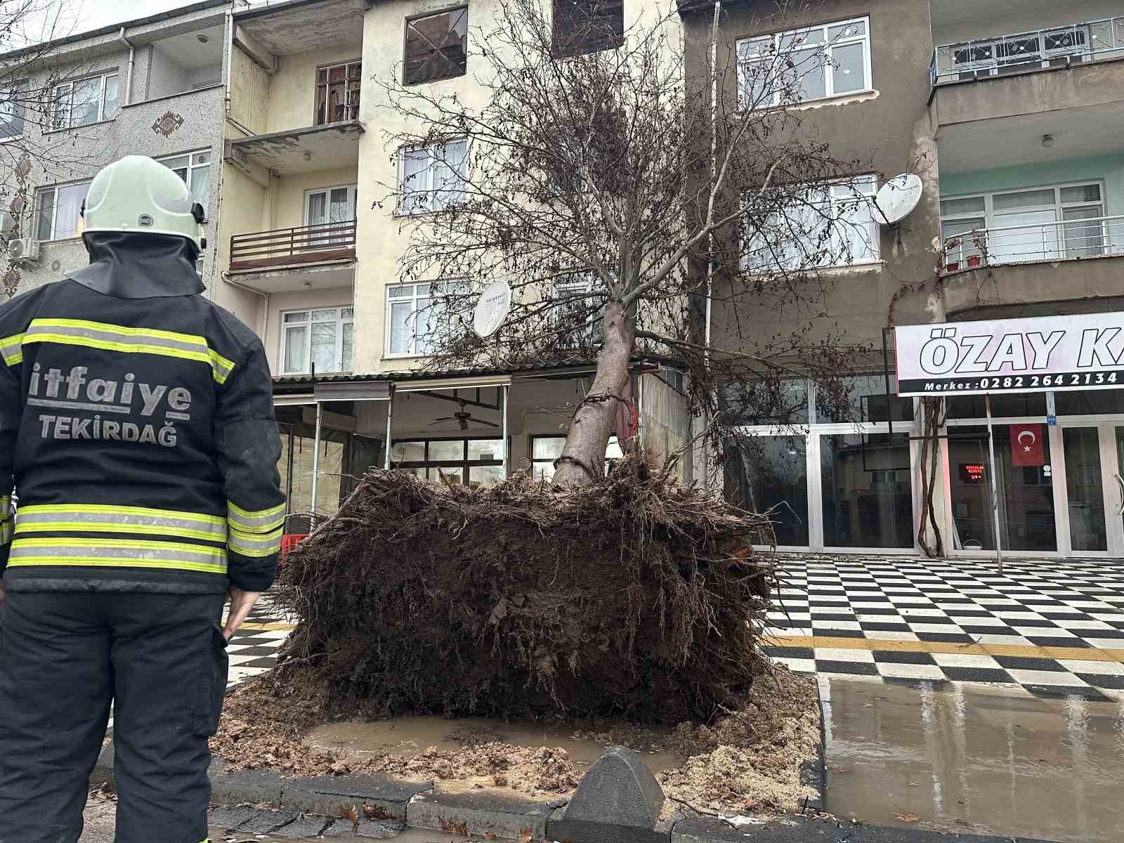Muratlı’da ağaç kahvehanenin çatısına devrildi
