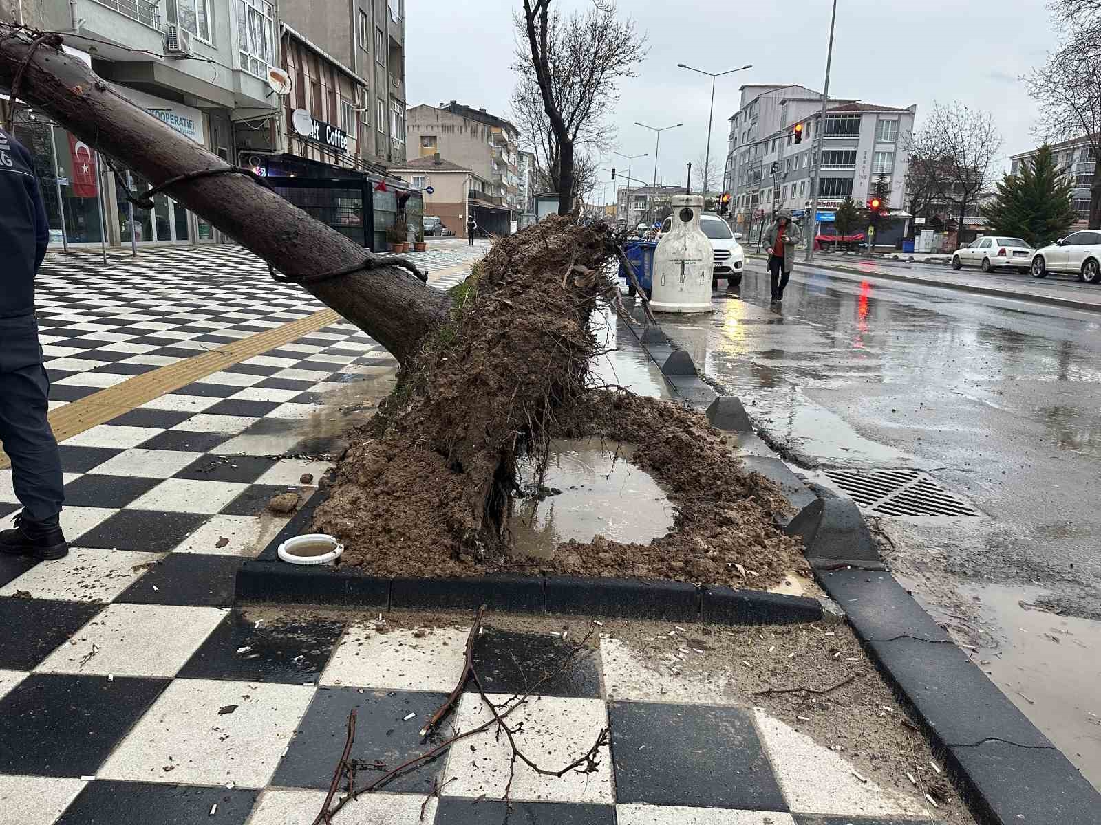 Muratlı’da ağaç kahvehanenin çatısına devrildi
