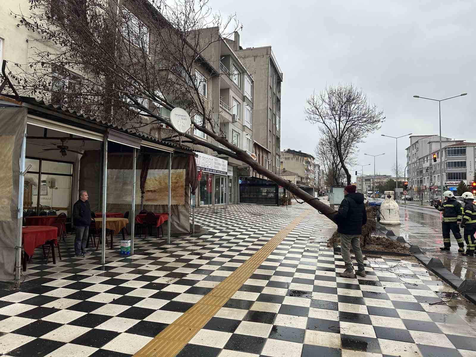 Muratlı’da ağaç kahvehanenin çatısına devrildi
