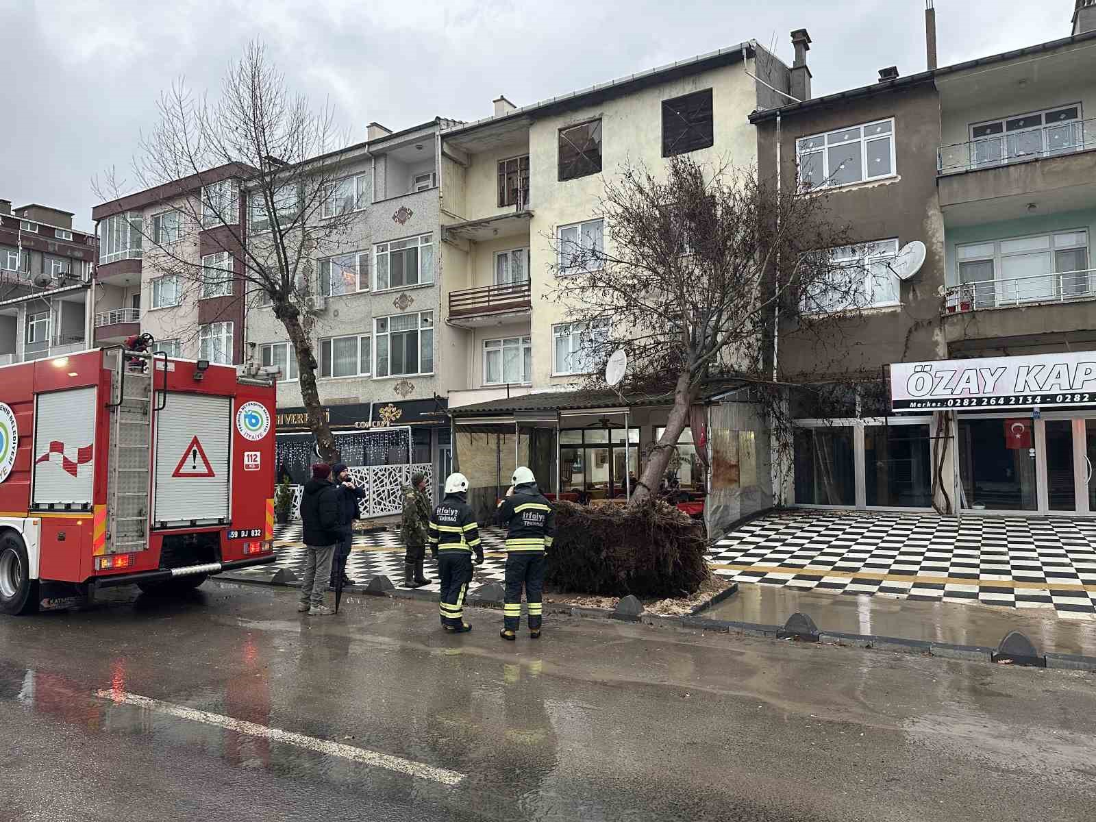 Muratlı’da ağaç kahvehanenin çatısına devrildi
