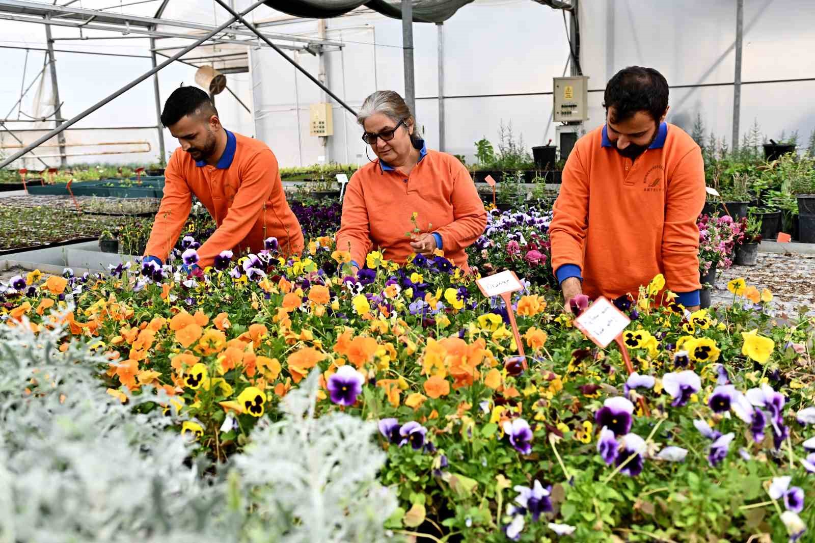 Muratpaşa’dan örnek bitki üretim modeli
Muratpaşa’dan örnek bitki üretim modeli