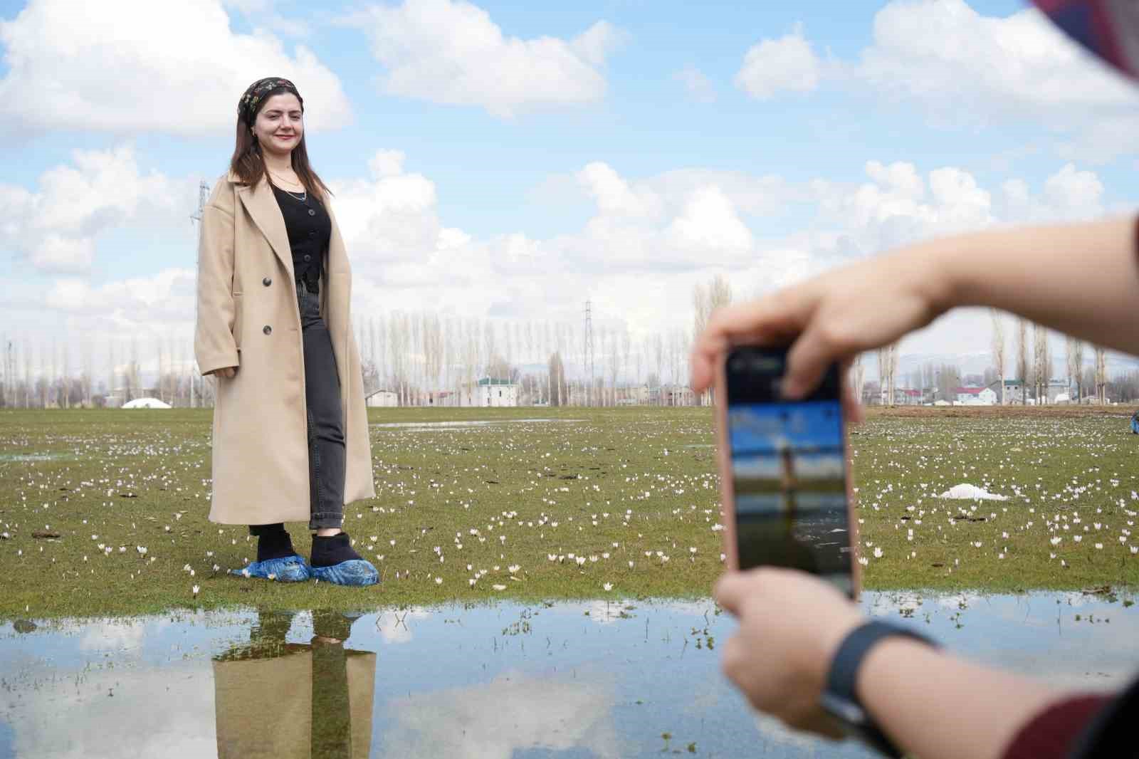 Muş Ovası’nda baharın habercisi çiğdemler açtı
Muş Ovası’nda baharın habercisi çiğdemler açtı