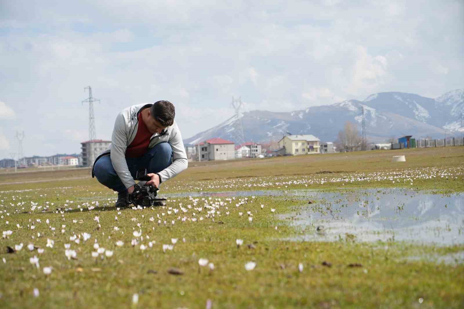 Muş Ovası’nda baharın habercisi çiğdemler açtı
Muş Ovası’nda baharın habercisi çiğdemler açtı