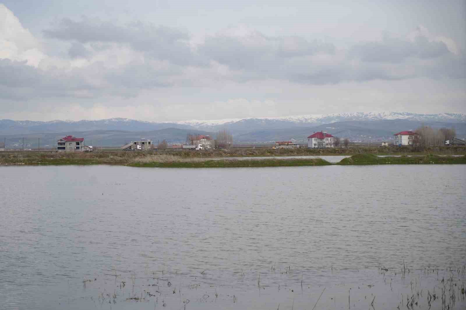 Muş Ovası’nda kar erimesi ve sağanak tarım arazilerini sular altında bıraktı
