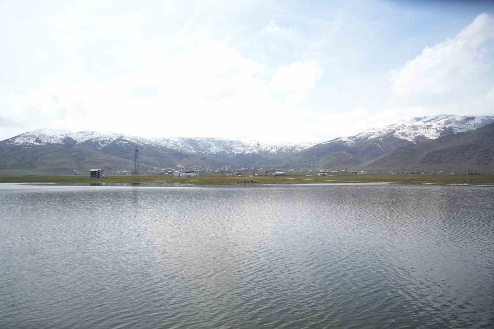 Muş Ovası’nda kar erimesi ve sağanak tarım arazilerini sular altında bıraktı
