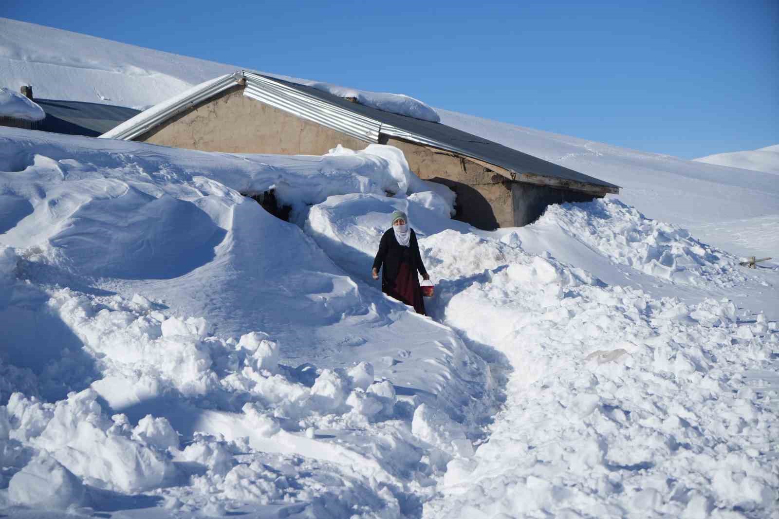 Muş’ta 1800 rakımlı köy kara gömüldü: Evler kar altında, ulaşım tünellerle sağlanıyor
Muş’ta 1800 rakımlı köy kara gömüldü: Evler kar altında, ulaşım tünellerle sağlanıyor