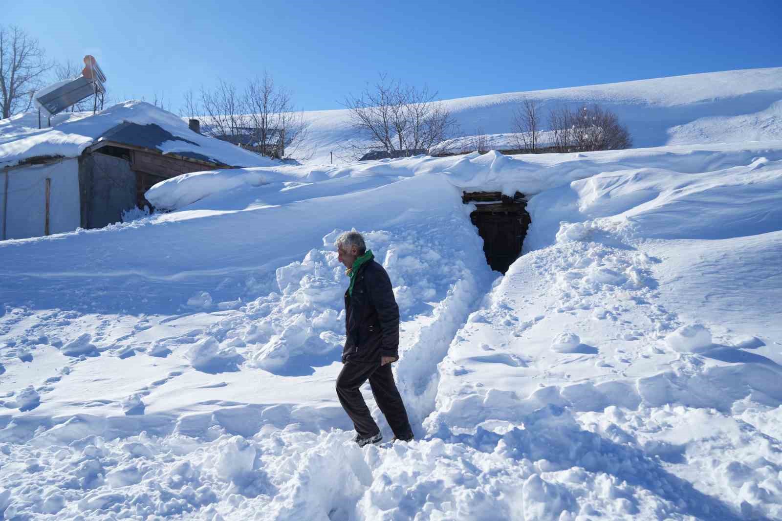 Muş’ta 1800 rakımlı köy kara gömüldü: Evler kar altında, ulaşım tünellerle sağlanıyor
Muş’ta 1800 rakımlı köy kara gömüldü: Evler kar altında, ulaşım tünellerle sağlanıyor