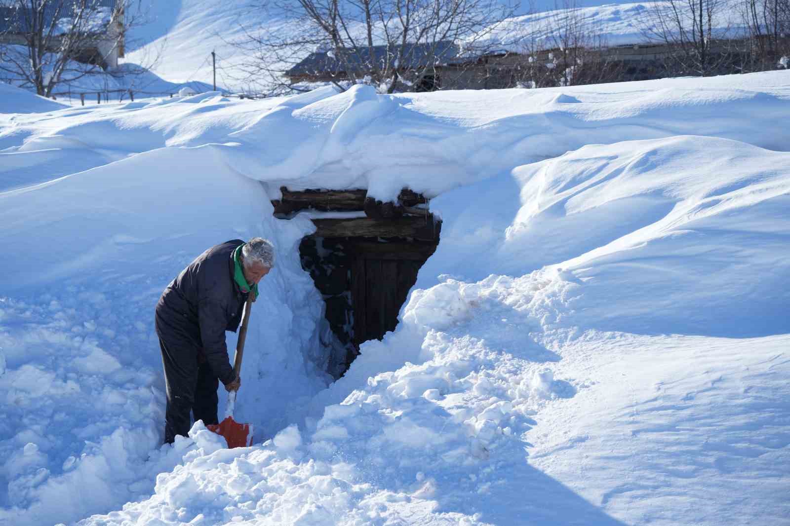 Muş’ta 1800 rakımlı köy kara gömüldü: Evler kar altında, ulaşım tünellerle sağlanıyor
Muş’ta 1800 rakımlı köy kara gömüldü: Evler kar altında, ulaşım tünellerle sağlanıyor