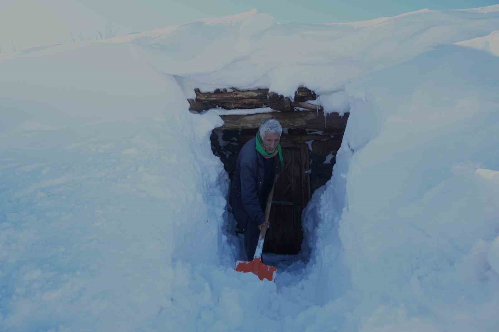 Muş’ta 1800 rakımlı köy kara gömüldü: Evler kar altında, ulaşım tünellerle sağlanıyor
Muş’ta 1800 rakımlı köy kara gömüldü: Evler kar altında, ulaşım tünellerle sağlanıyor
