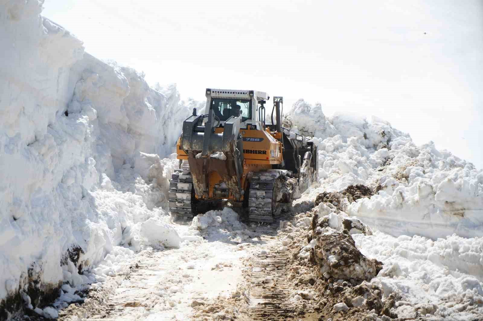 Muş’ta 5 metrelik karla zorlu mücadele
