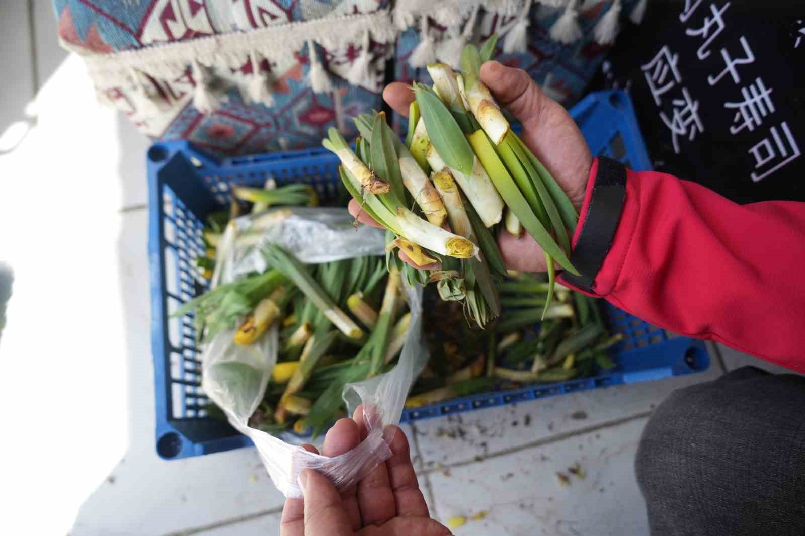 Muş’ta "askıda çiriş otu" uygulaması
